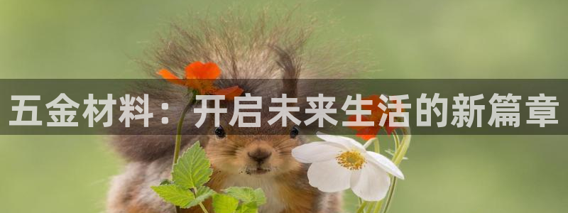 恒行娱乐吕74OOO5