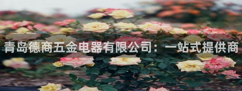 恒行开户全2O5o5O