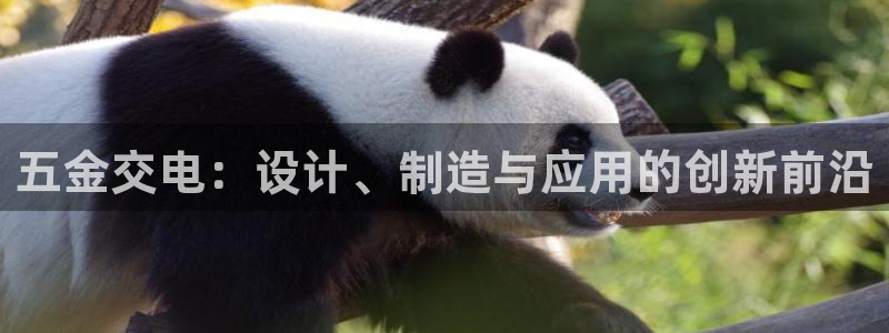 恒行娱乐陈74OOO5