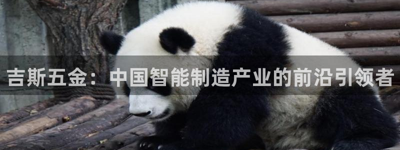 恒行代理总代主导 6ll5l