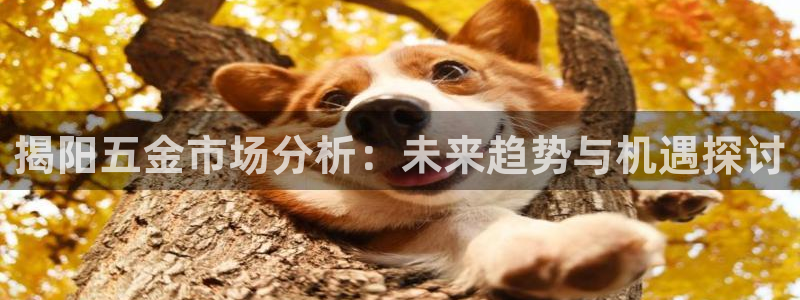 恒行娱乐河沂74ooo5程