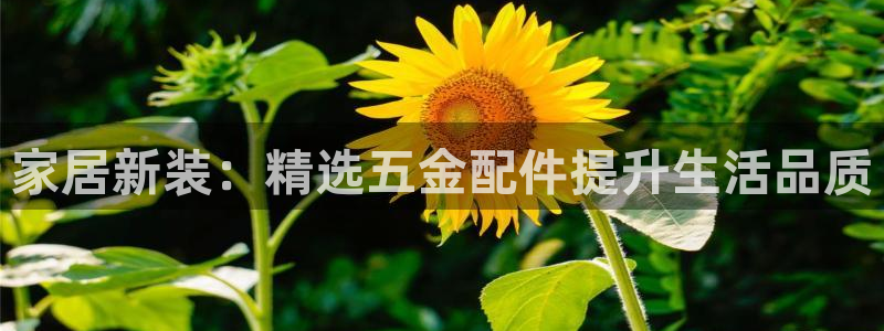 恒行娱乐度74ooo5聘霖