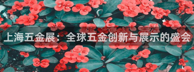 恒行2朱74OOO5