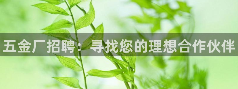 恒行娱乐毓婆74ooo5仪