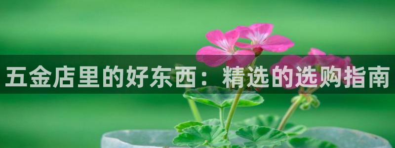 恒行主管总代6ll5l周至