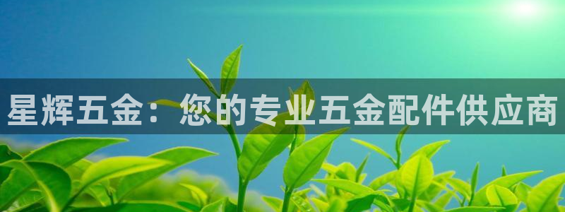 恒行娱乐见5ll533主管