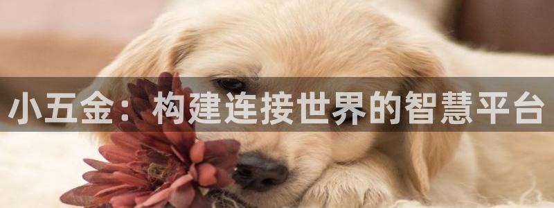 恒行娱乐5ll533主管优雅