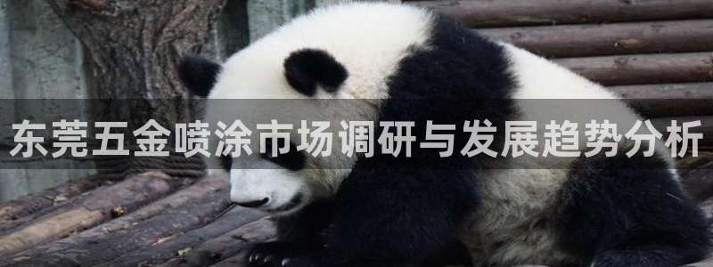 恒行主管总代6ll5l周至