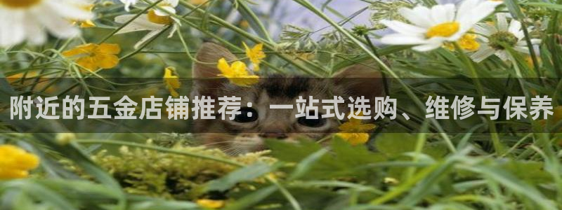 恒行娱乐招收点赞5ll533主管