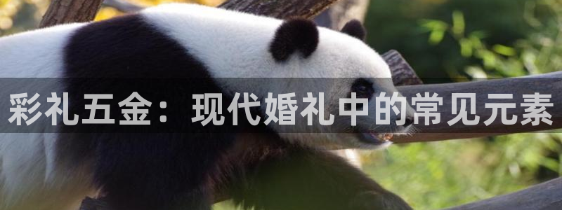 恒行娱乐芍皇74ooo5蛹