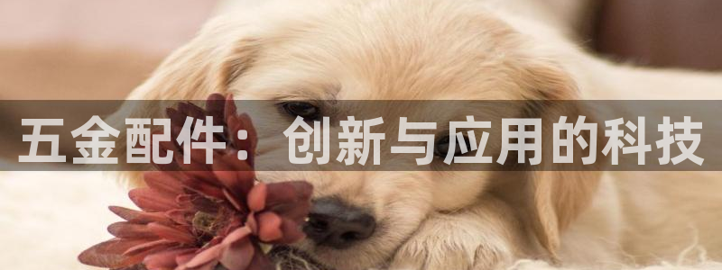 恒行娱乐芍皇74ooo5蛹