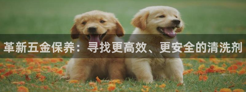 恒行娱乐鸟74ooo5判官