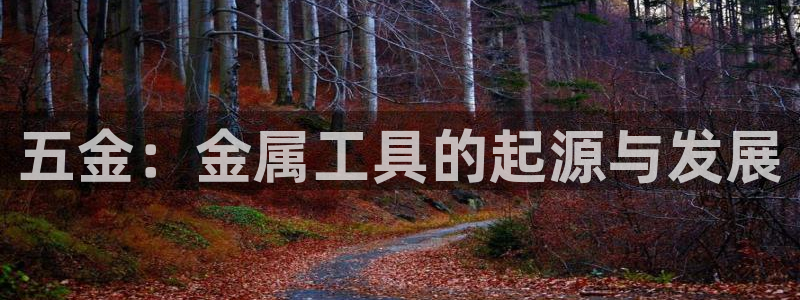 恒行2郑74OOO5