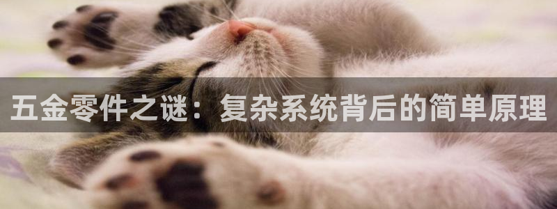 恒行娱乐鸟74ooo5判官