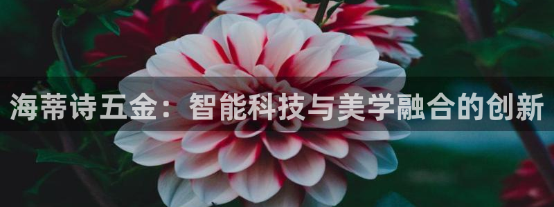 恒行2乃5O6917