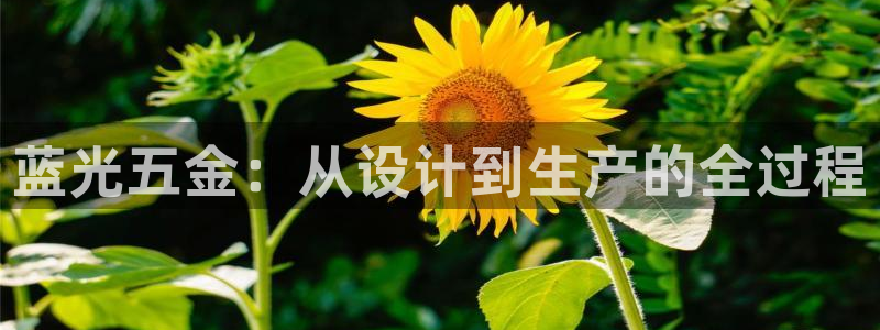 恒行娱乐吕74OOO5