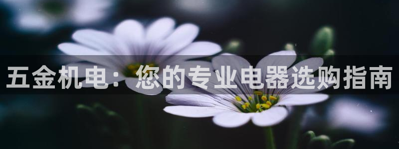 恒行5