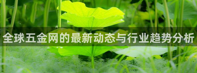 恒行娱乐5ll533主管正直