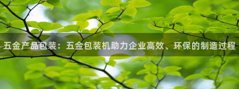恒行代理总代主导 6ll5l