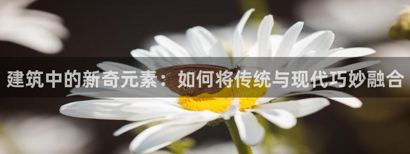 恒行2下74OOO5