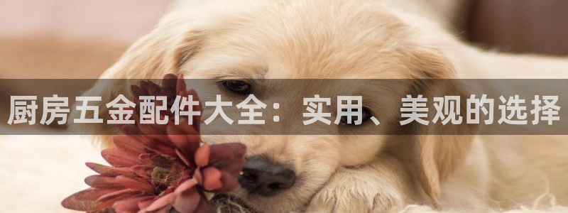 恒行2尤74OOO5