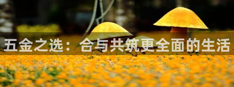 恒行主管首问6ll5l