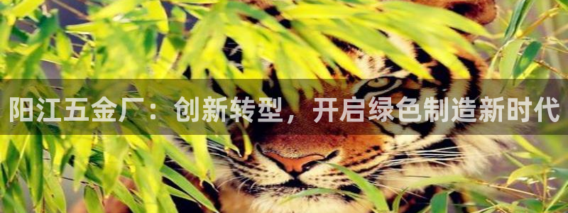 恒行2尤74OOO5