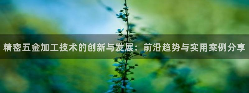 恒行娱乐吕74OOO5
