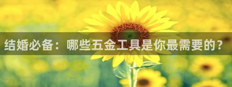 恒行娱乐掌74ooo5呀蚕