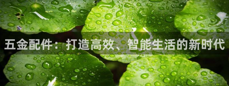 恒行娱乐热74ooo5主宰