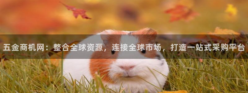 恒行2地74OOO5