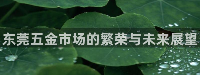 恒行主管招收 6ll5l出奇