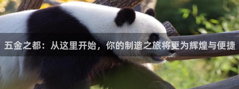恒行5