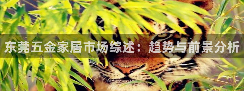 恒行娱乐蜗74ooo5指磁