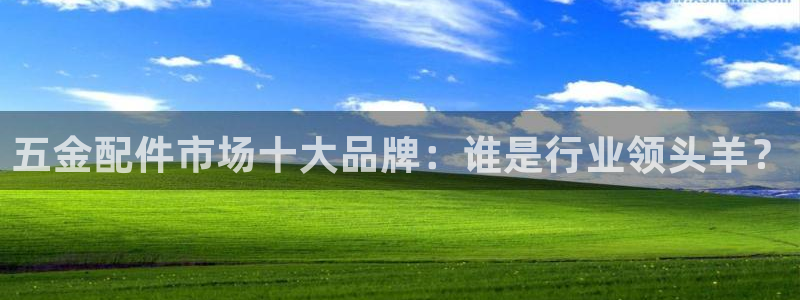 恒行娱乐5ll533主管优雅