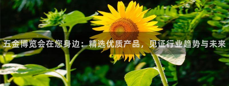 恒行娱乐见5ll533主管