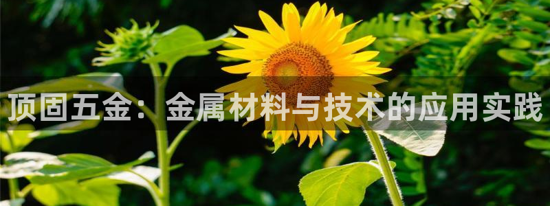 恒行2王74OOO5