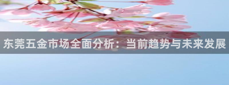 恒行娱乐河沂74ooo5程