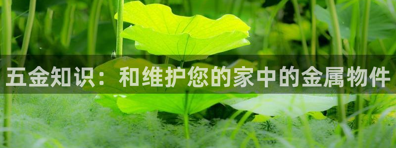 恒行娱乐毓婆74ooo5仪