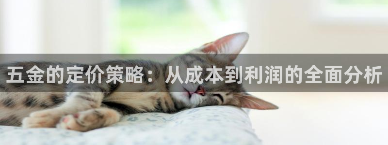 恒行代理总代主导 6ll5l