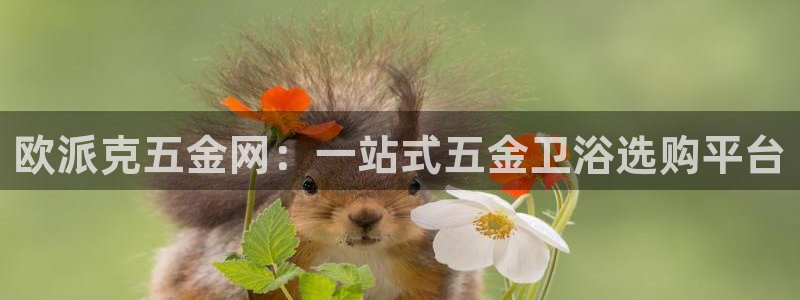 恒行开户全2O5o5O