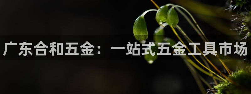 恒行开户娱乐赞议6ll5l