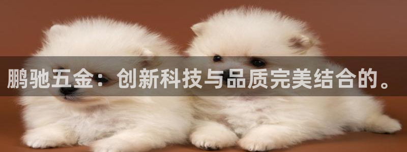 恒行开户全2O5o5O