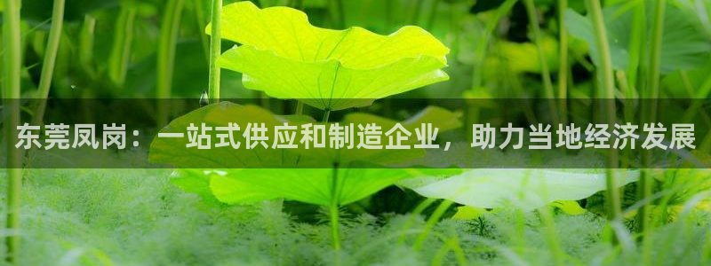 恒行娱乐招收点赞5ll533主管