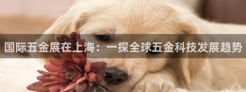 恒行娱乐掌74ooo5呀蚕