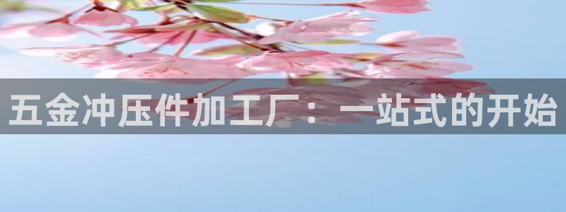 恒行5娱乐