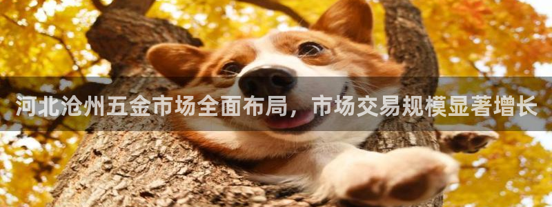 恒行娱乐5ll533主管耐心